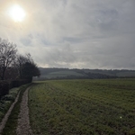 Sun tries to peak through overcast sky above a grassy field, leafless trees and footpath