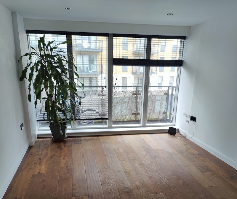 Room with wooden floor and large plant looking out to French doors