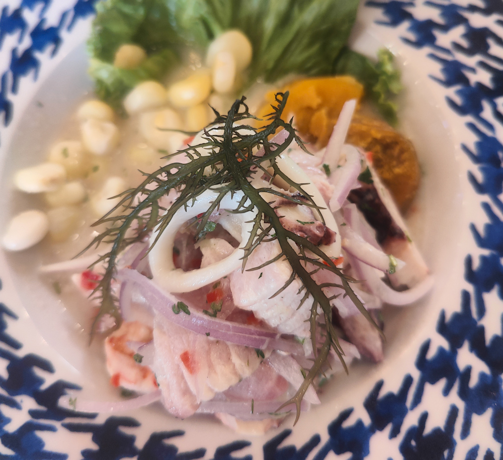 Ceviche dish with prawns, white fish and onions