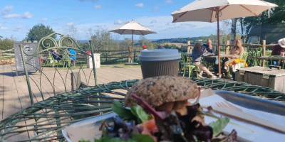 outside terrace at Kingdom with halloumi burger