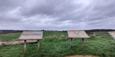 Landscape of Farthing Down and interpretation boards