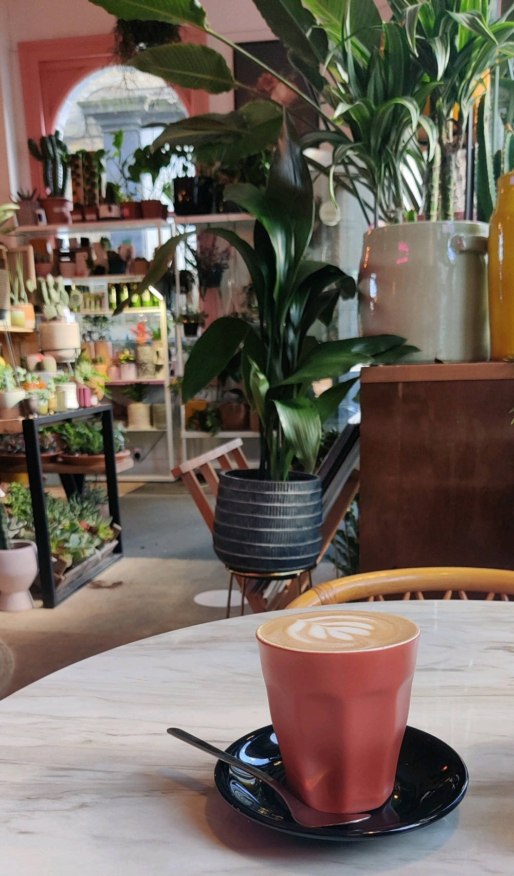 Latte on a table with plants in background