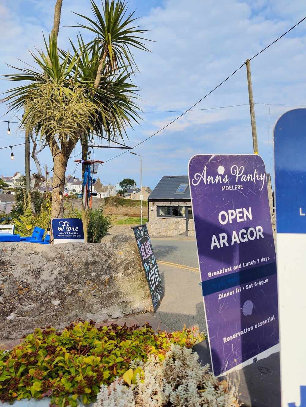 Sign with text Ann's Pantry, open ar agor beside a palm tree