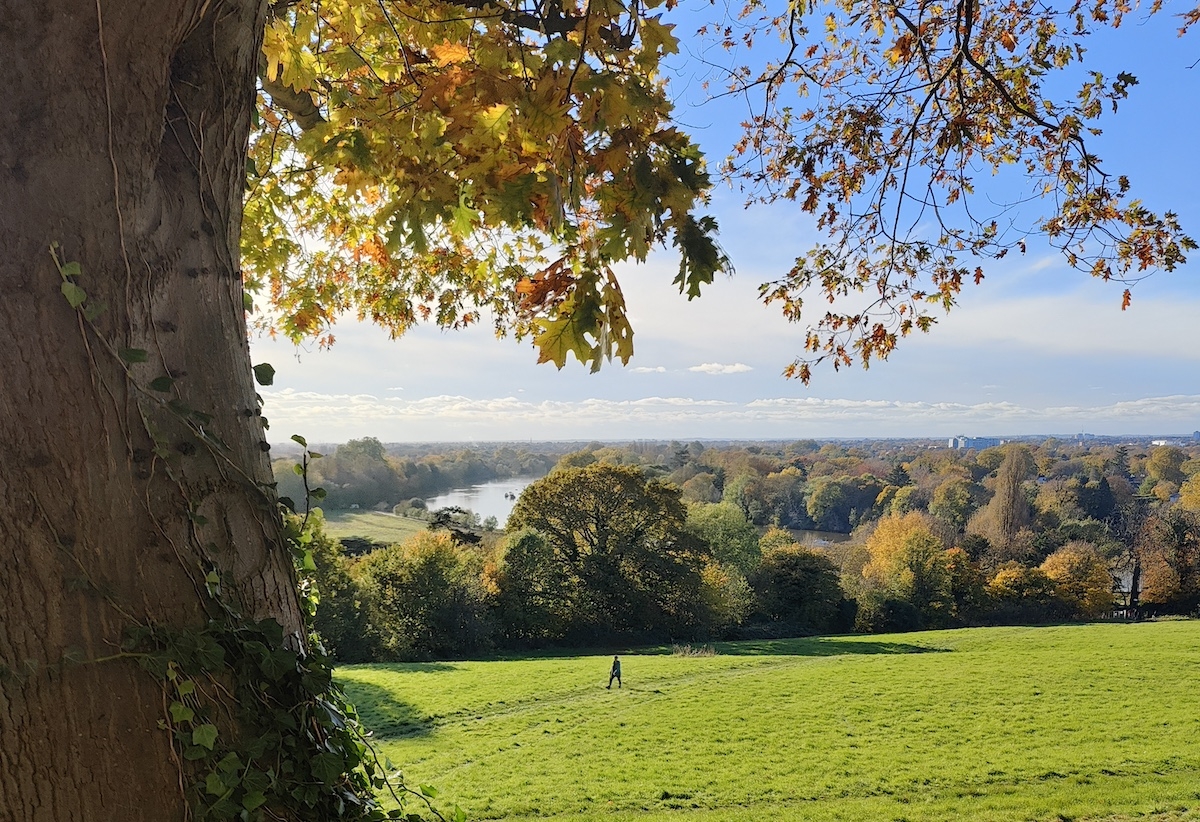 Autumn leaves in Richmond Park and the River Thames