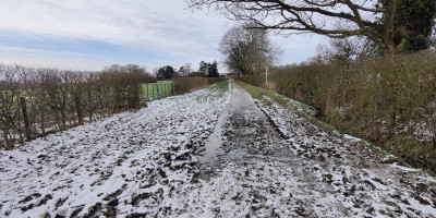 Icy covered bridle path near Hildenborough in Kent