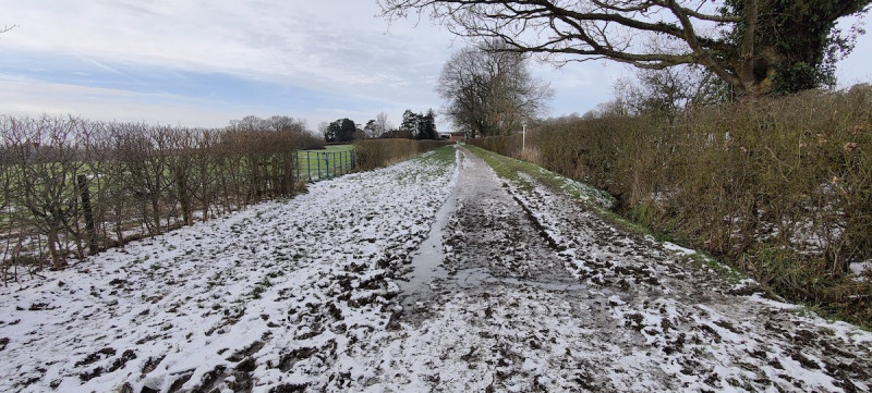 Icy covered bridle path near Hildenborough in Kent