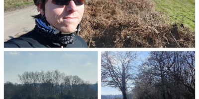 3-photo collage of Calum in cycle helmet and red sunglasses on a country in West Sussex, a pheasant and gated bridleway