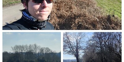 3-photo collage of Calum in cycle helmet and red sunglasses on a country in West Sussex, a pheasant and gated bridleway