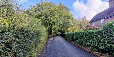 Country lane with green hedgerows
