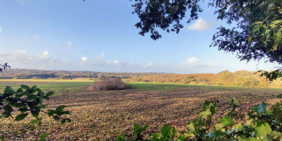 Panoramic view over Sussex fields