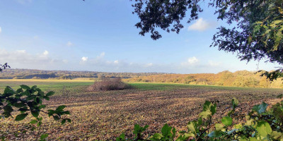 Panoramic view over Sussex fields towards Battle