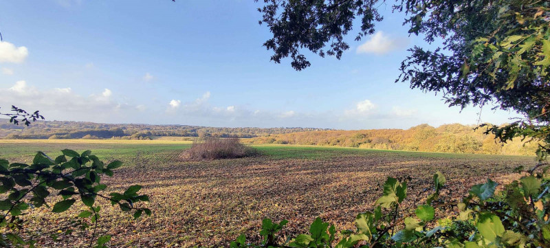 Panoramic view over Sussex fields towards Battle