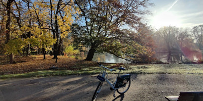 Hire bicycle in park with autmn backdrop of trees and morning sunshine
