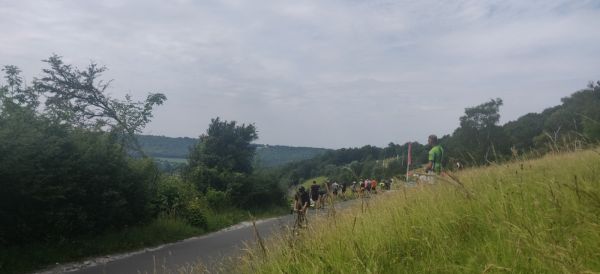 View of Box Hill National Trust