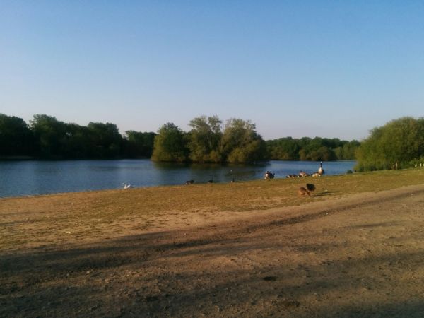 View of Haysden Country Park