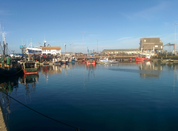 View of Portavogie