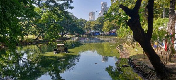 View of Lumphini Park (สวนลุมพินี)