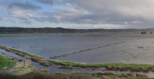 Flooded field in Somerset.